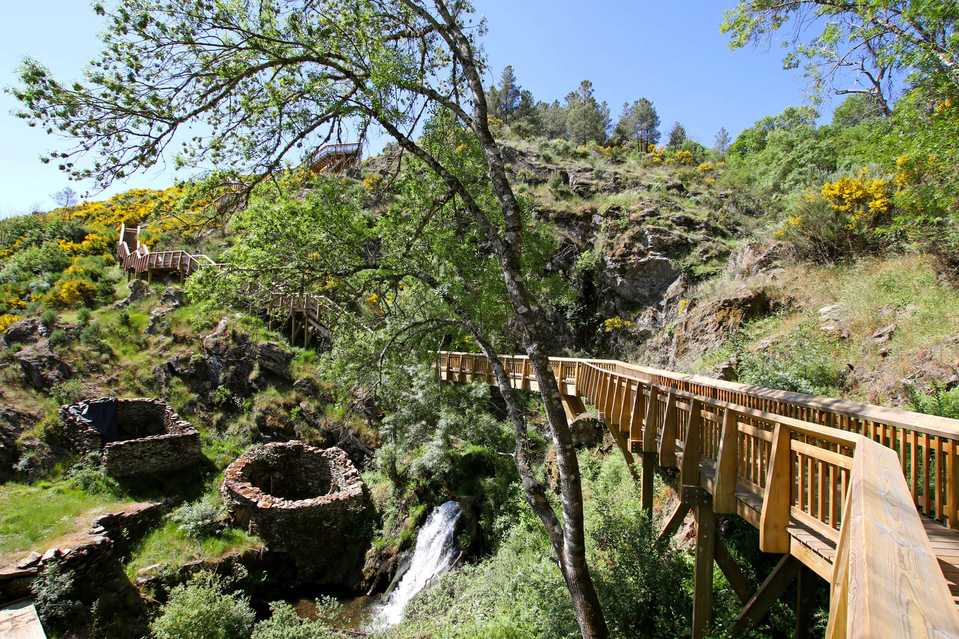 Ribeiro dos Moinhos