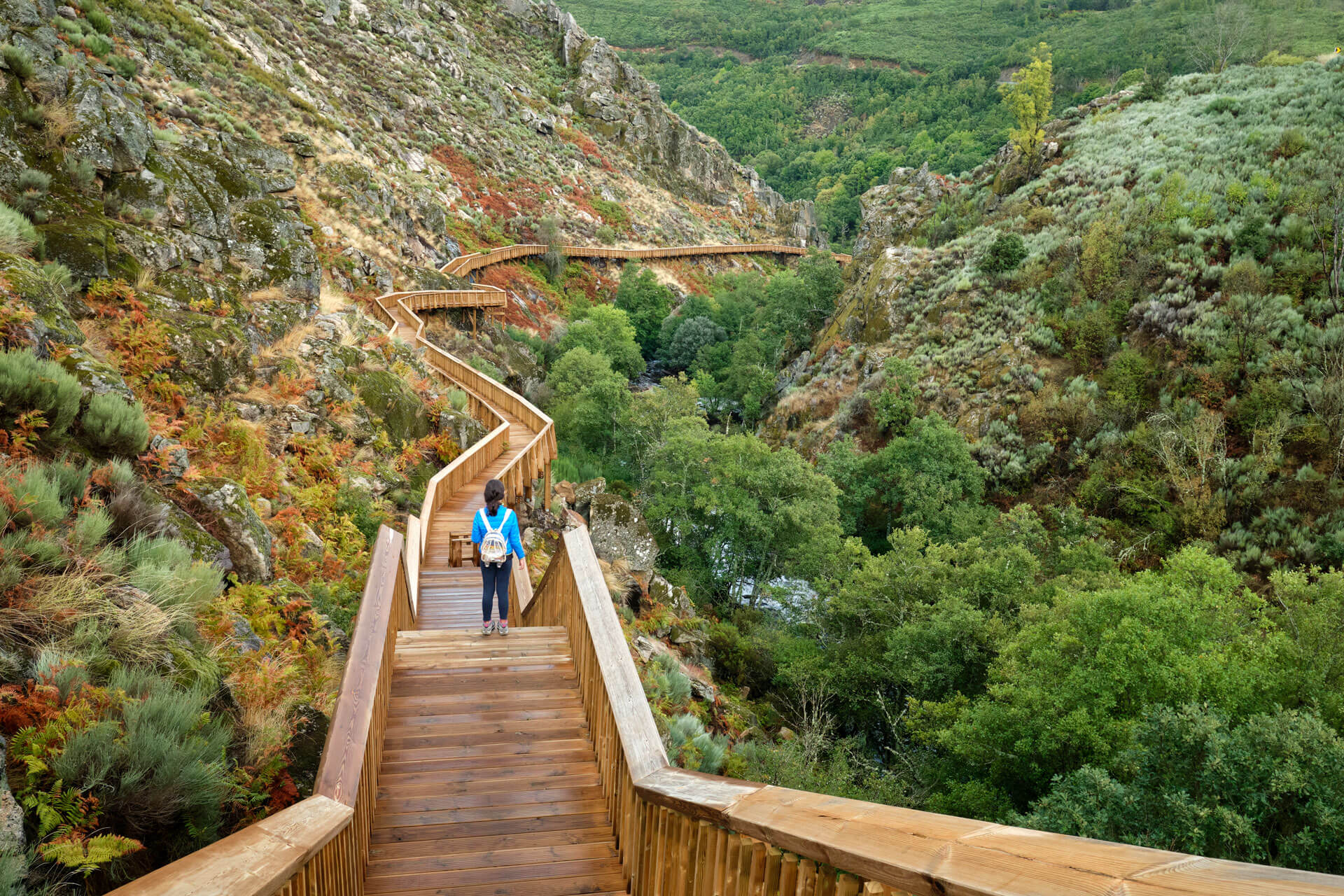 Passadiços do Mondego